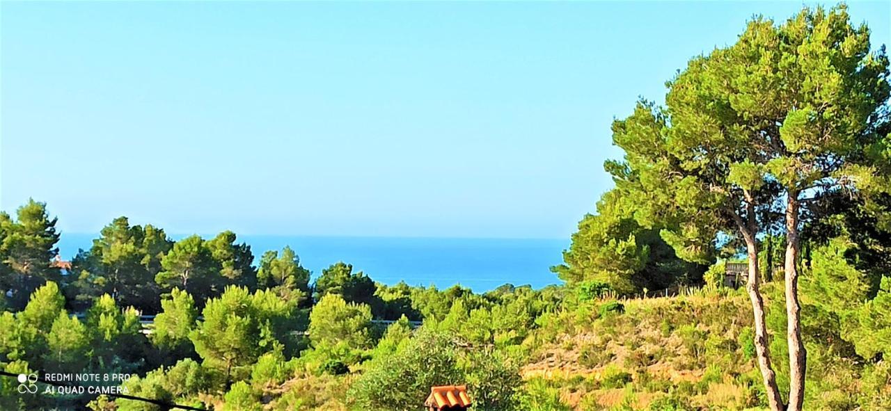 Bella Galera Villa อัลเตอา ภายนอก รูปภาพ